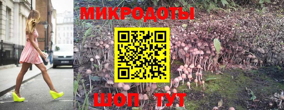 Псилоцибиновые грибы ЛСД Волжский